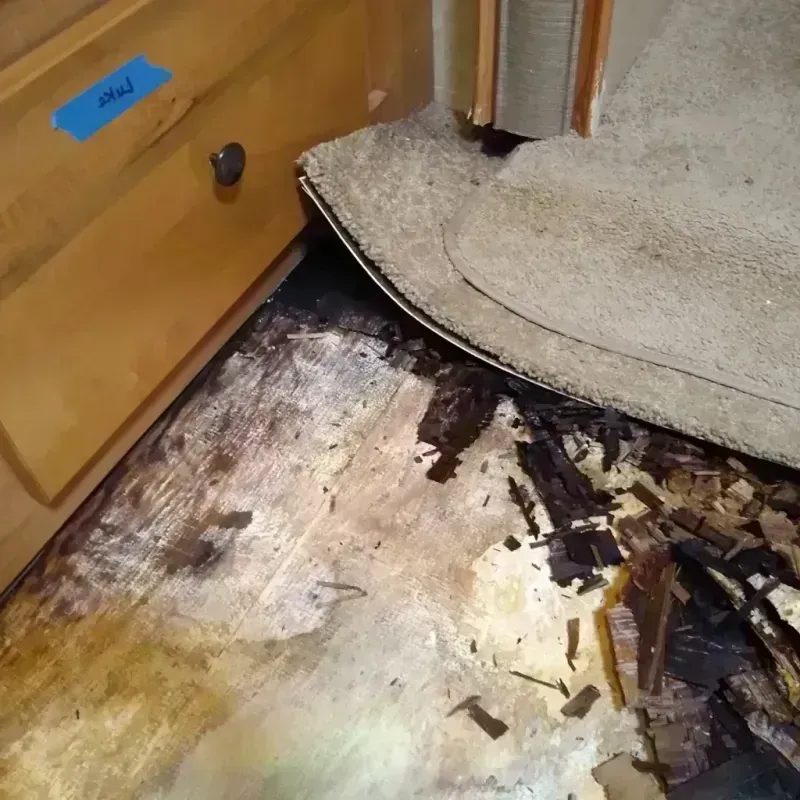 Best Wood Floor Water Damage Service in Albion, IN